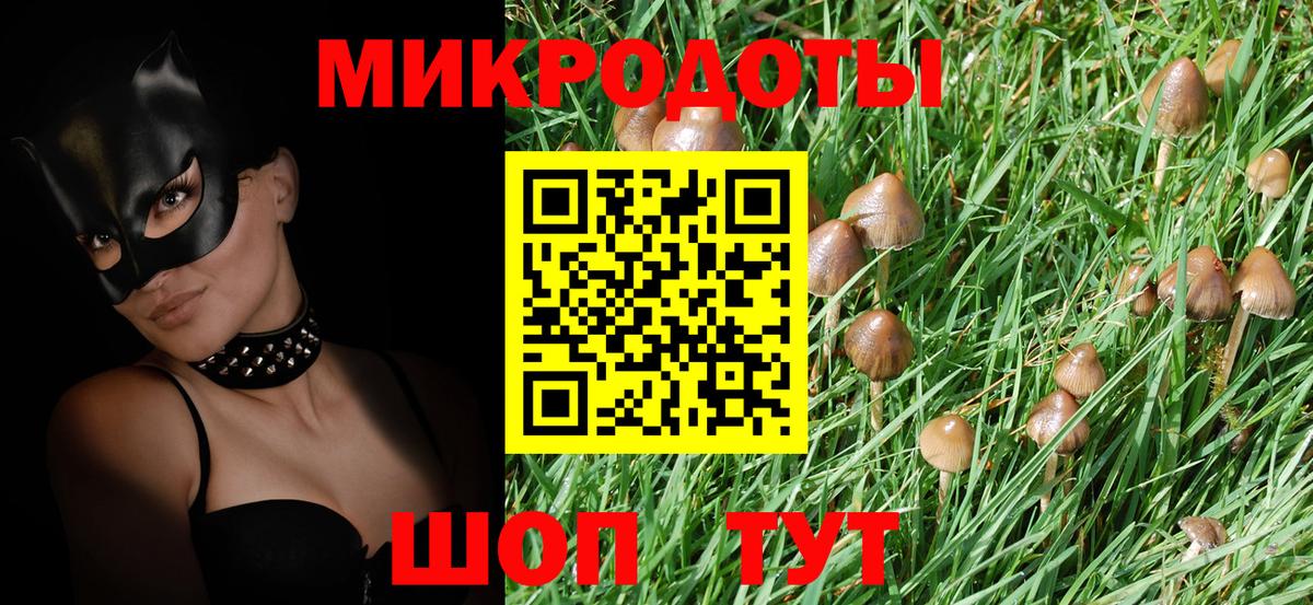Галлюциногенные грибы мицелий Губаха